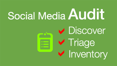 Brandle - Social Media Audit