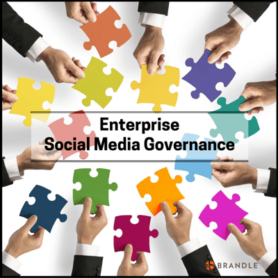 Social_Media_Governance-_Brandle.png